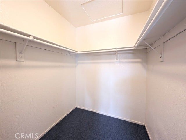 Building Photo - 2795 Rosarita St