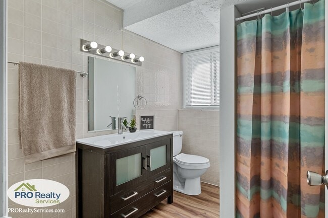 Building Photo - 4 Bedroom Home in Anoka