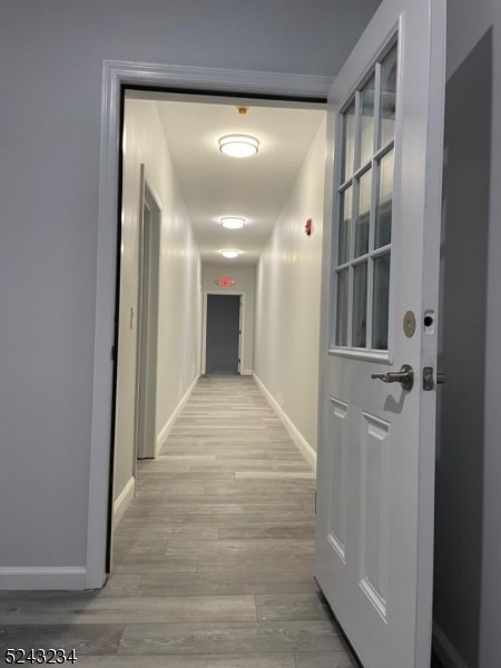 Building Photo - 314 Washington Ave