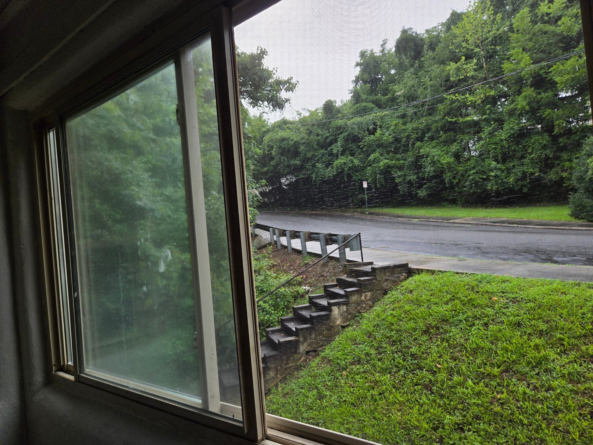 View from living room window - 111 Phillips Ct