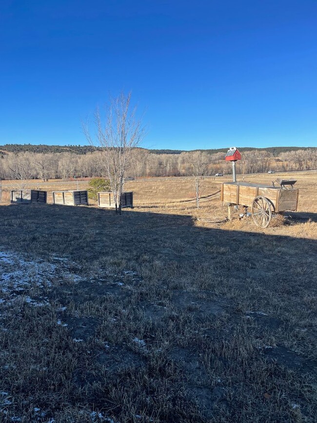 Building Photo - Mancos 3 bedroom on land