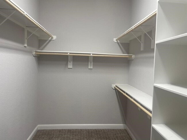 Building Photo - 13236 Tracewood Hills Ln