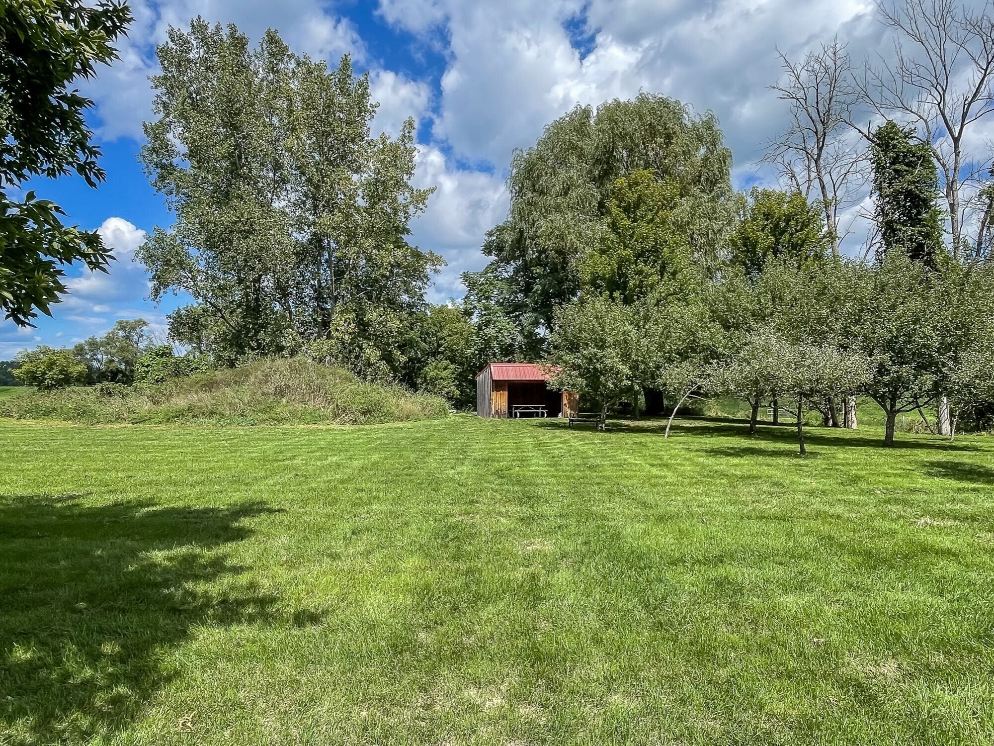 Lots of grass, dotted with trees, to lounge and play - a separate fenced dog run also in yard - 208 W Broadway St