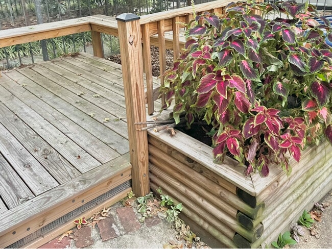 Building Photo - 1223 Harvard St NW