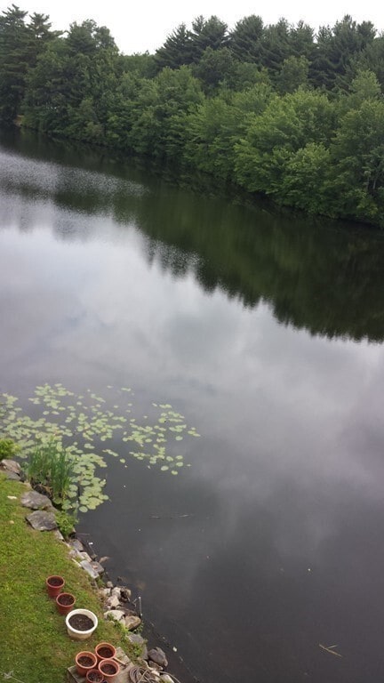 Building Photo - 358 Main St