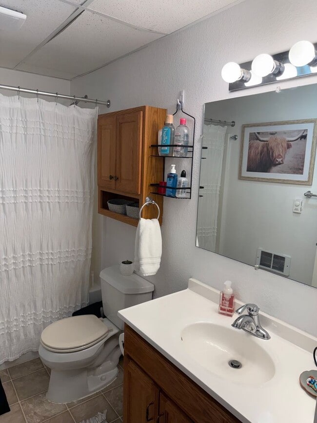 Building Photo - Bright 2 Bed / 2 Bath Basement Apartment with Garage Access – Driggs, ID