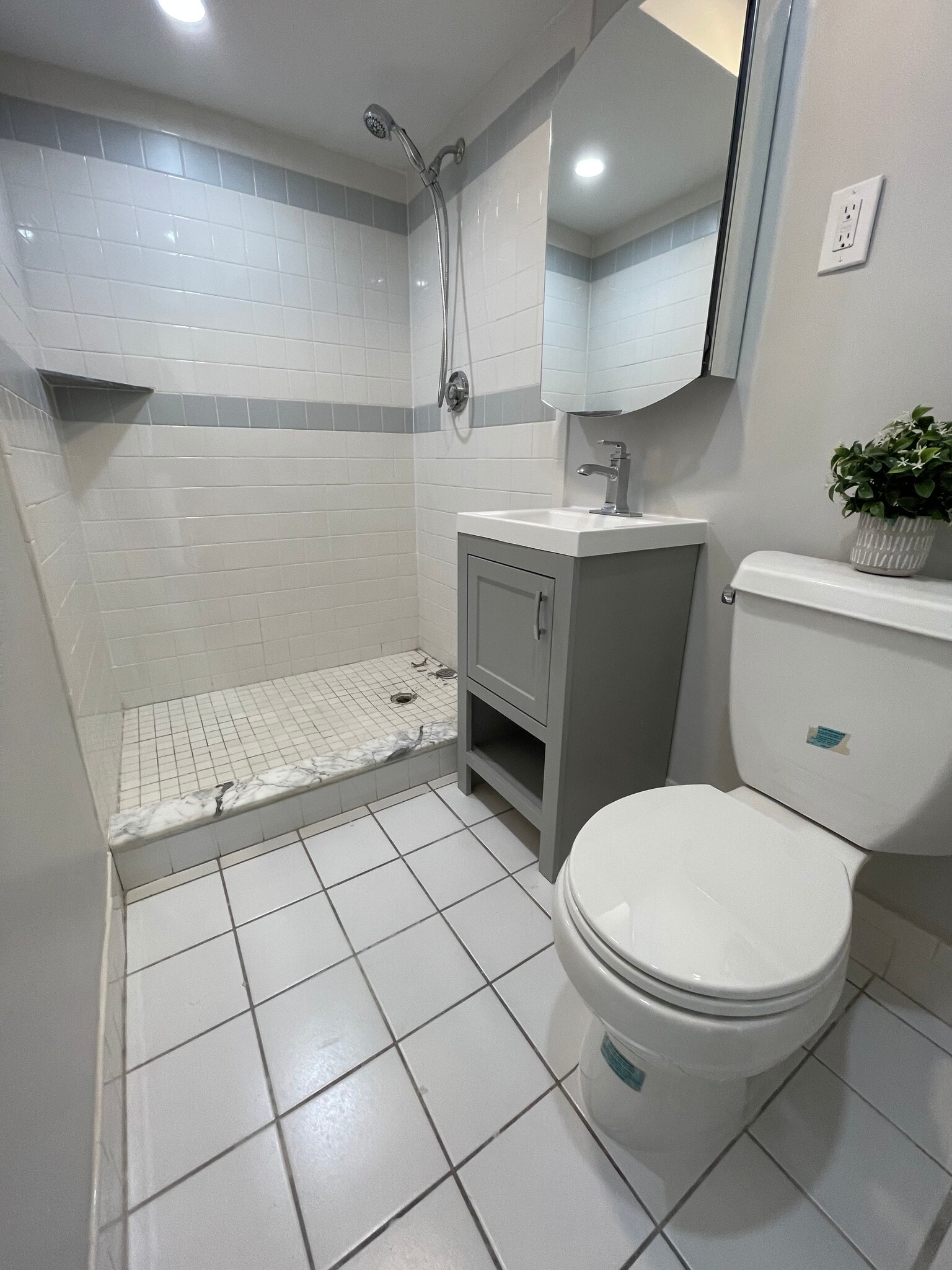 Master bathroom with shower area and glassdors (not pictured). - 1243 Beacon St