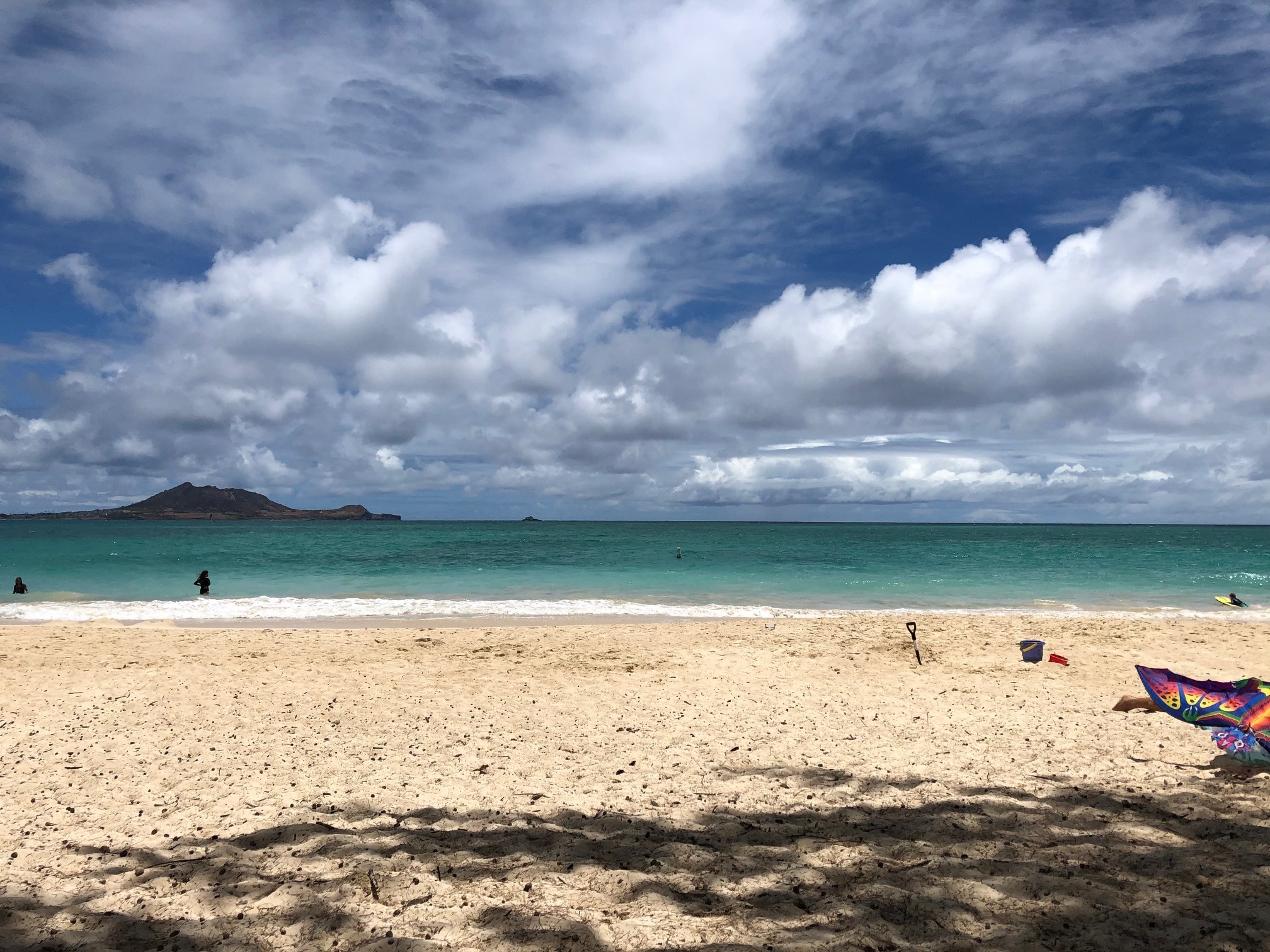 Building Photo - 350 Aoloa St