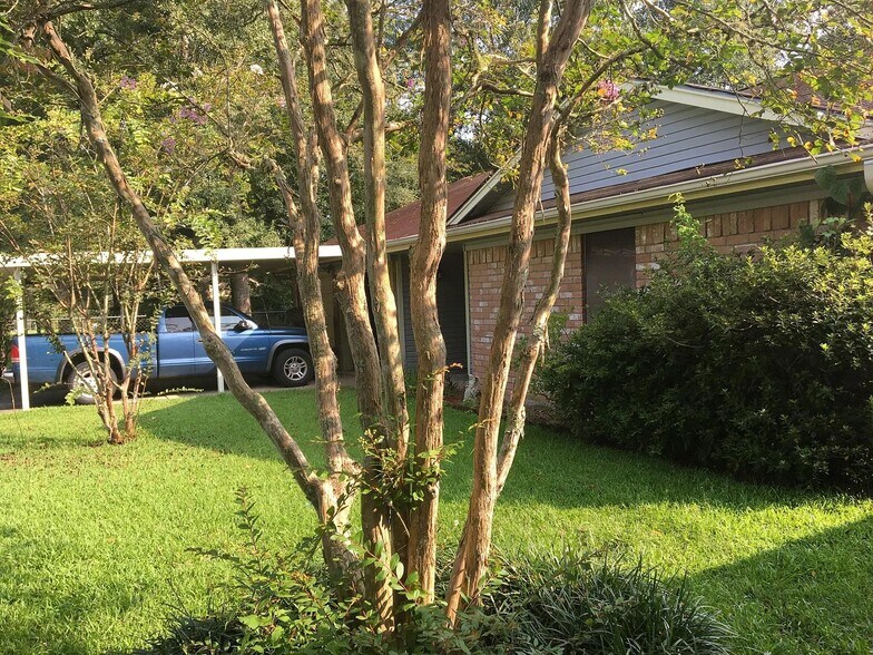 Front yard - 10980 Forest Gln