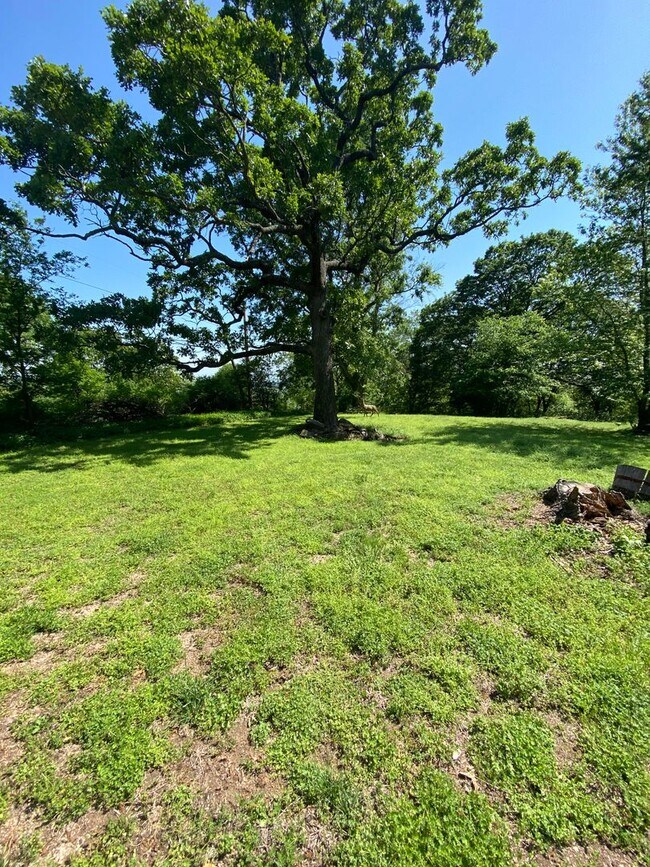 Building Photo - Country Living! Cute 2 bedroom 1 bath home...