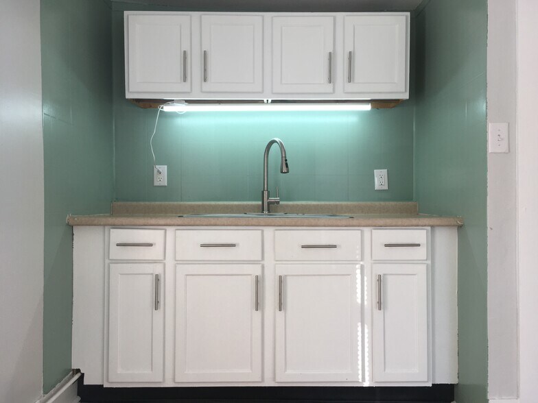 Kitchen sink and counter - 219 W Oakland Ave