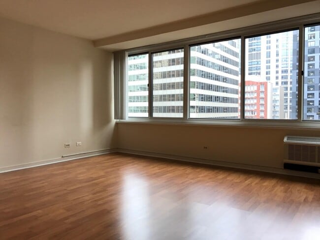 Building Photo - Nice one bedroom in Streeterville