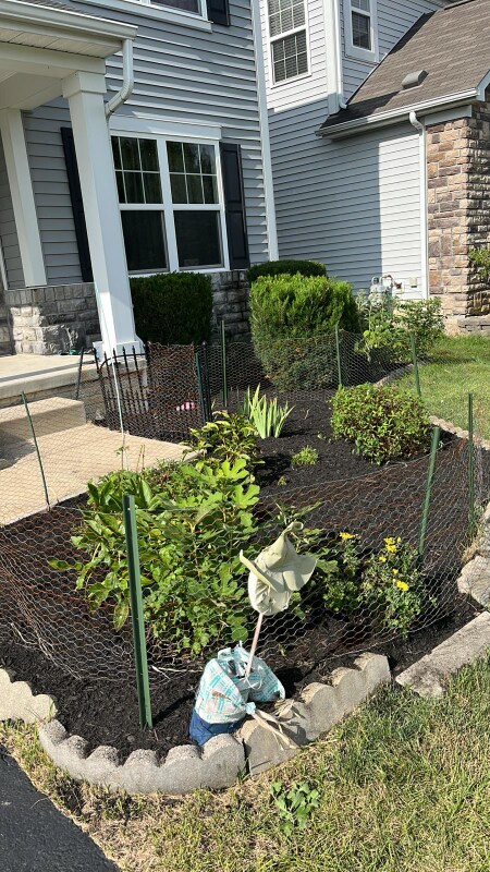 Building Photo - 270 McElhinny Ln