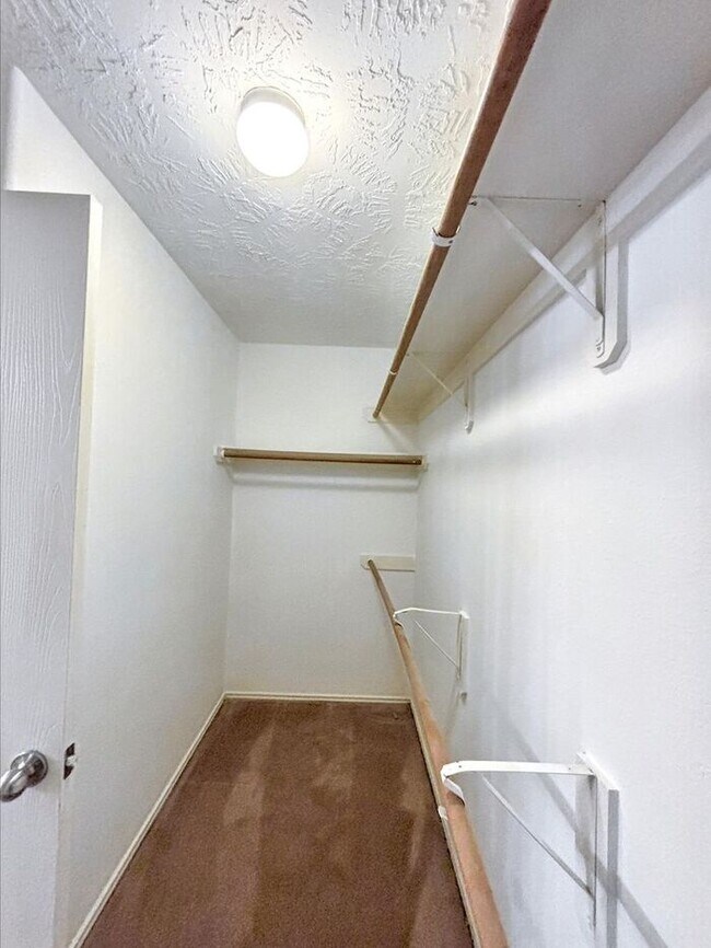 Building Photo - 11319 Moonlight Ridge Dr