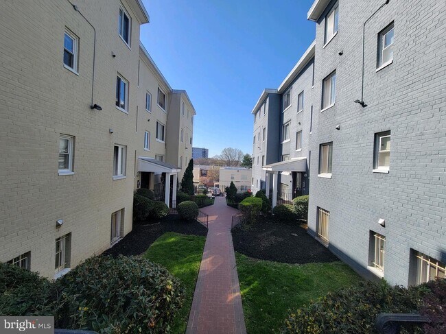 Building Photo - 713 Brandywine St SE