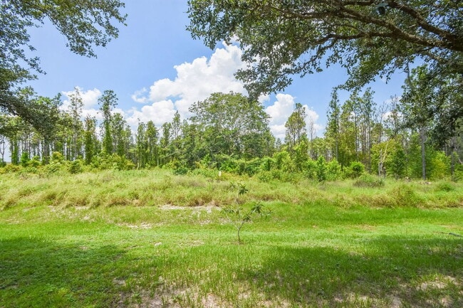 Building Photo - 10438 Vista Pines Loop