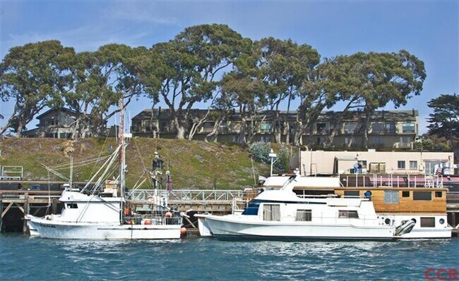 Building Photo - Unblockable View of Morro Bay