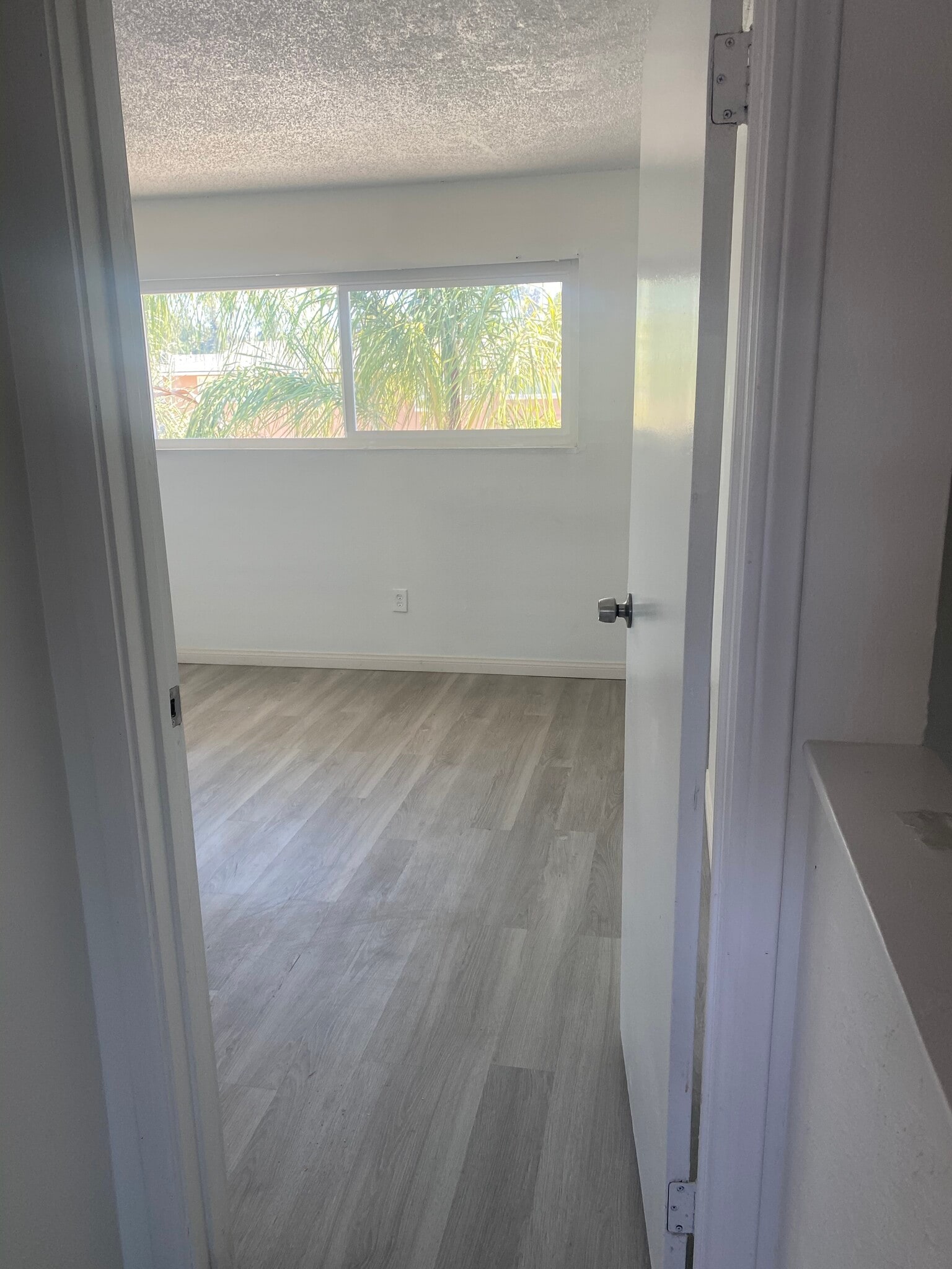 Building Photo - 1131 Cero Ct