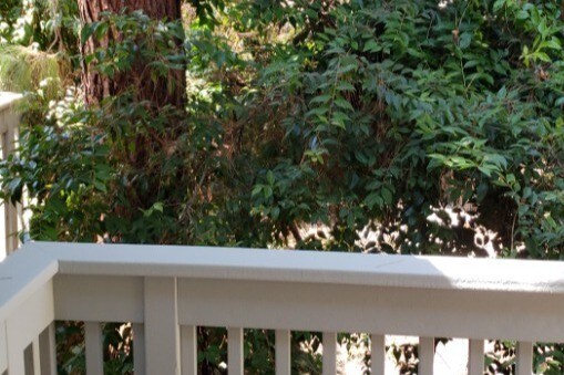 Building Photo - 7131 N Farralone Ave