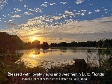 Building Photo - Beautifully Remodeled Lakefront Home | Spring-Fed Lake Views