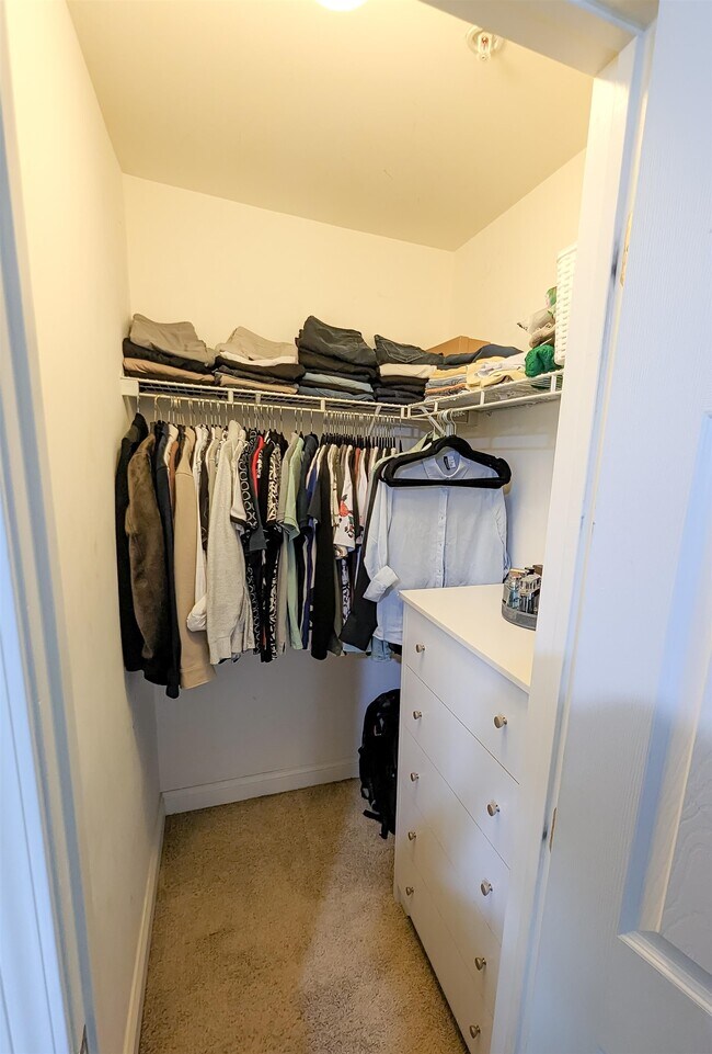 Building Photo - 47 Mallard Pl