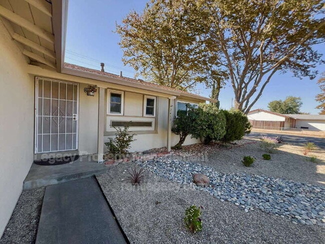 Building Photo - 2459 Gulf Dr