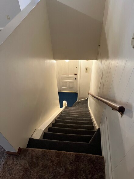Front entrance stairs - 801 N 3rd St