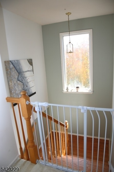 Building Photo - 17 Castle Dr