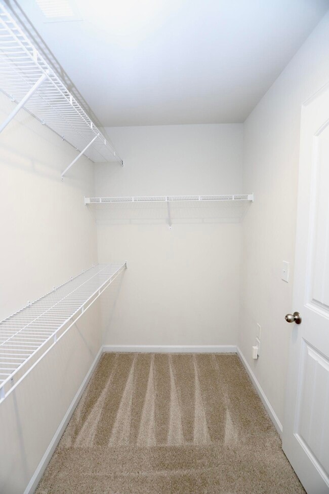 Building Photo - 115 Whitetail Cir