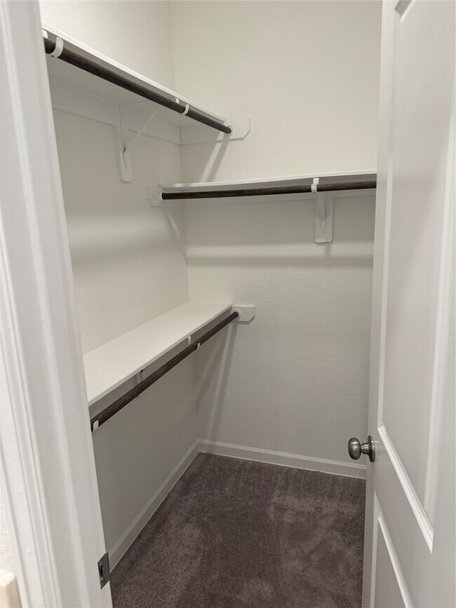 Building Photo - 2911 Cooper Hawk Ln