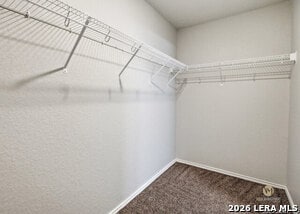 Building Photo - 7526 Crestway Ridge