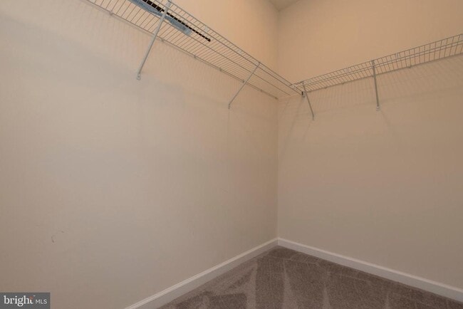 Building Photo - 14337 Potomac Heights Ln