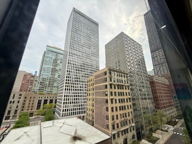 Building Photo - 900 N Lake Shore Dr