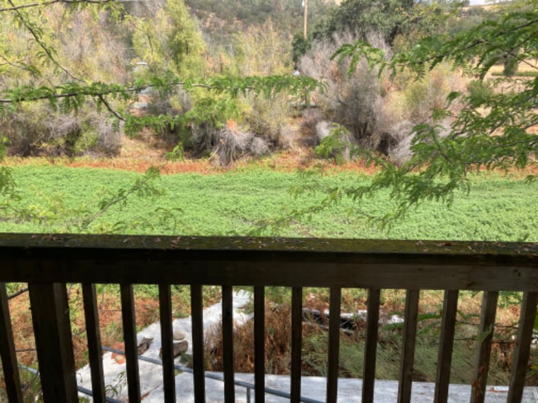 Building Photo - 13442 Marina Village