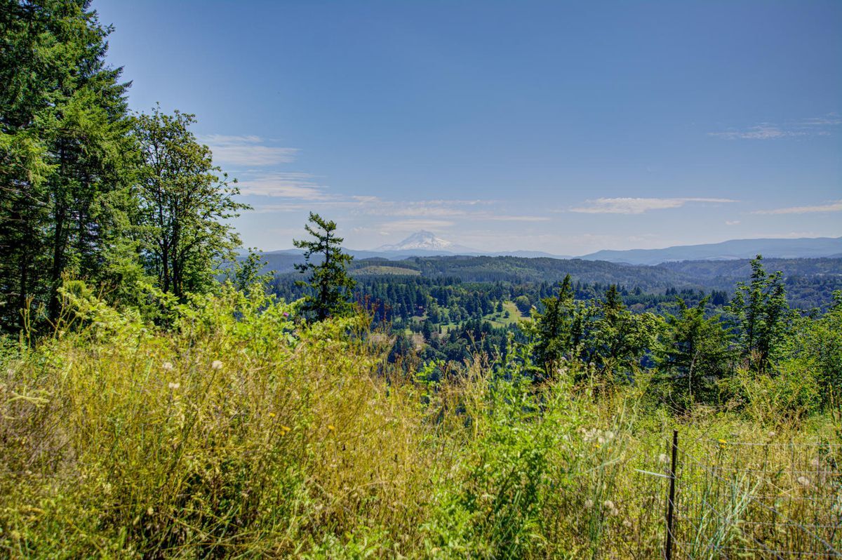 Building Photo - 14070 SE Baumback Ave