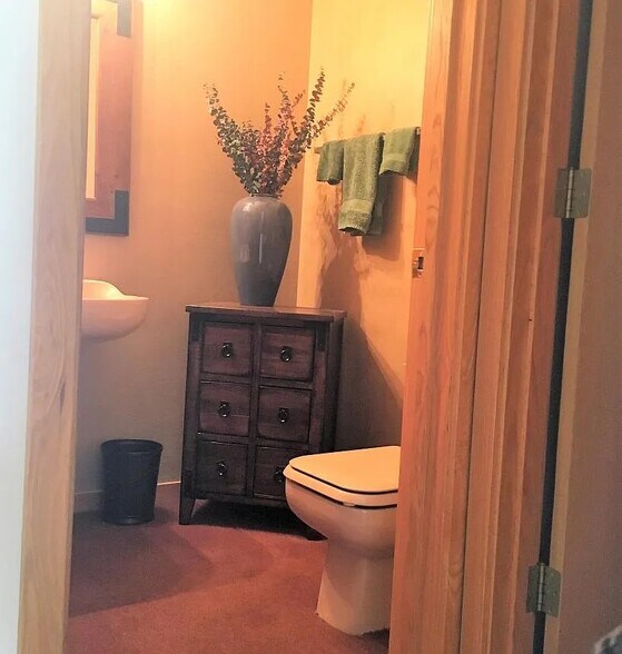 hall bathroom - 101 Blue Grouse Ln