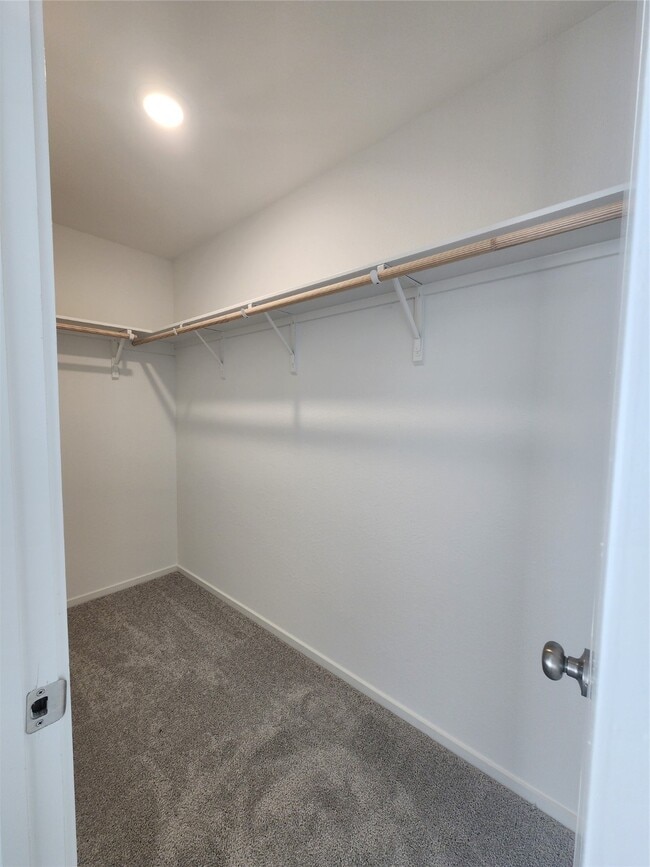 Building Photo - 17307 Adina Creek Ct