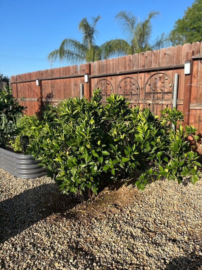 Building Photo - Karin's Kottage-New 2 Bedroom/2 Bath Furnished or Unfurnished Oasis for Lease