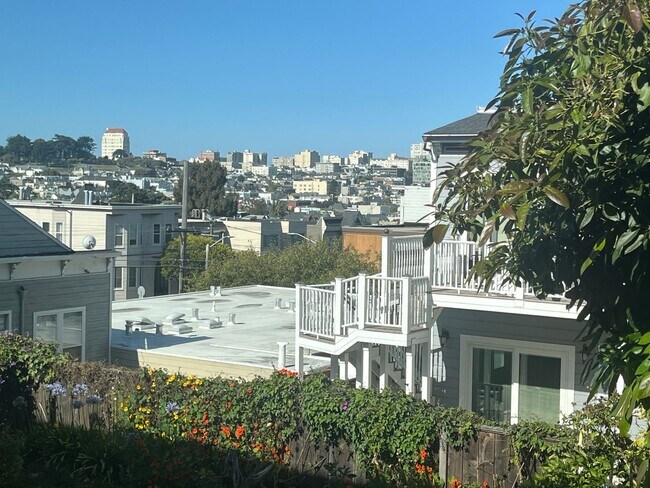 Building Photo - Newly Remodeled 2 Bedroom in Lower Pacific Heights. Washer/Dryer. Open House Sat/Sun 12-1 PM*