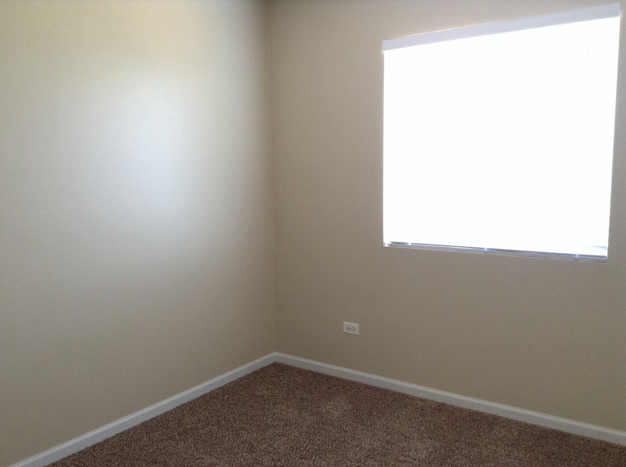 Building Photo - 3103 Meadowsedge Ln