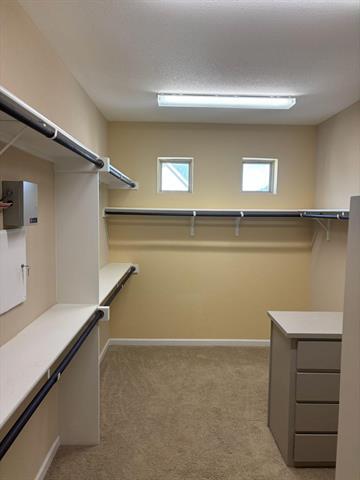 Building Photo - 3611 Carlsbad Way