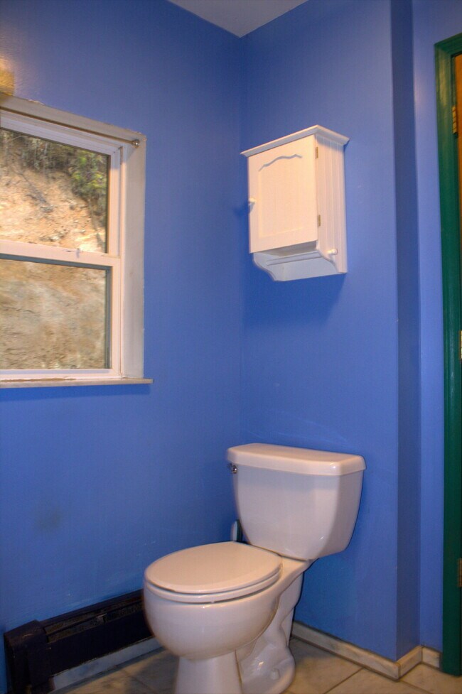 Building Photo - "Charming 2-Bed Retreat with Hardwood Elegance in Scenic Marshall, NC"