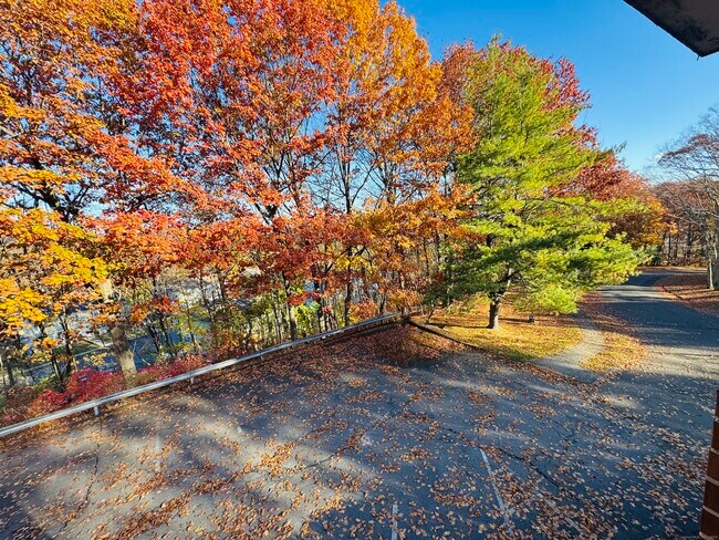 Building Photo - 304 Pine Rock Ave