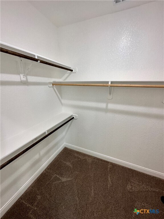 Building Photo - 1527 Sideoats Ln