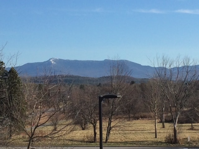 Building Photo - 20 Carmichael St