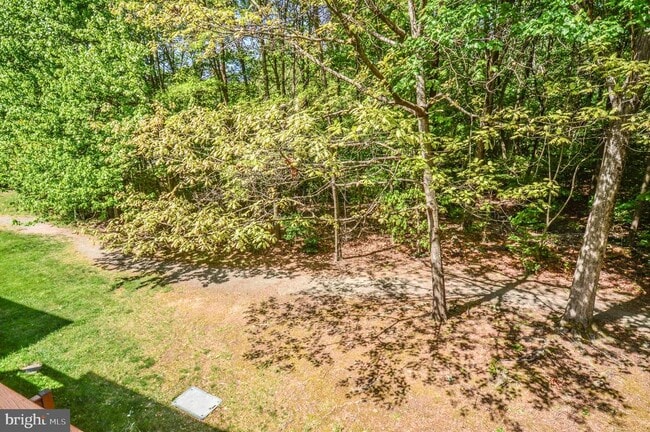 Building Photo - 6242 Levi Ct