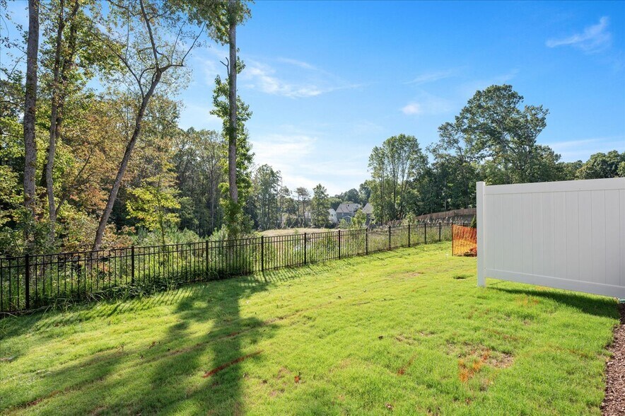 Back Yard with Tree Buffer - 10536 Pleasant Br Dr