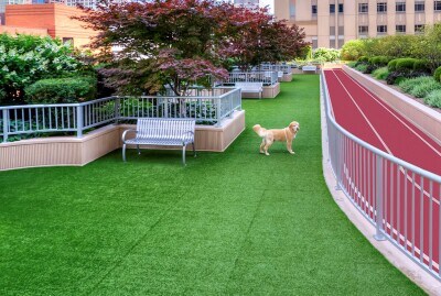 Building Photo - 564 N State St