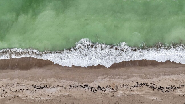 Building Photo - 2025 Jimmy Buffett Mem Hwy