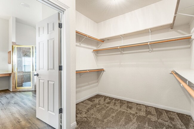 Building Photo - Corner Lot Beauty in Stone Oak Area